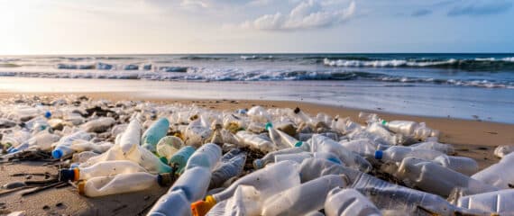 dechets plastiques été