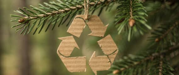 Recyclage sapin de noel